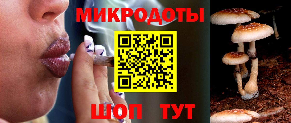 Псилоцибиновые грибы MAGIC MUSHROOMS Соль-Илецк